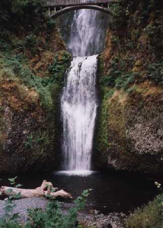 Columbia Falls (Oregon)
